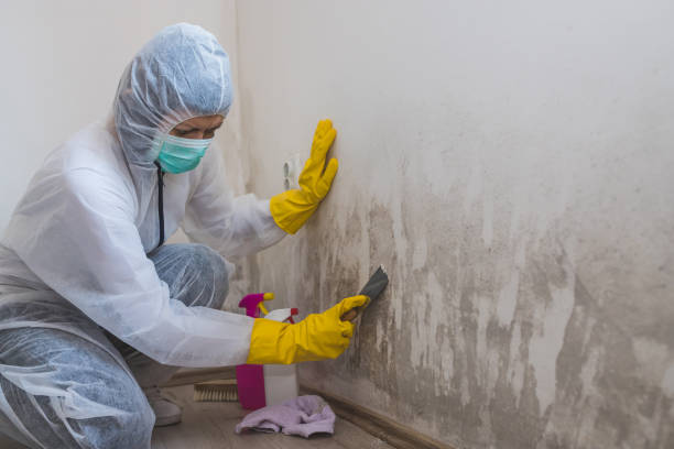 Best Mold Remediation Experts  in Crosbyton, TX