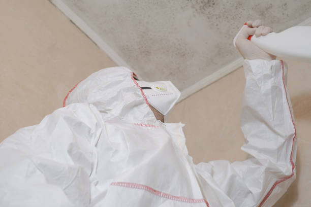 Best Toxic Mold Removal  in Crosbyton, TX