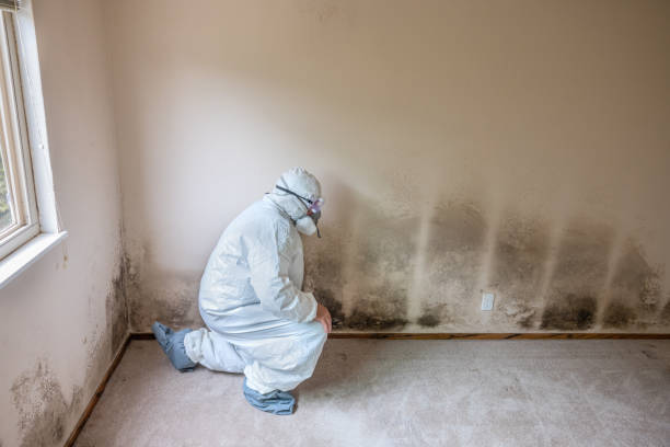 Best Mold Cleaning Services  in Crosbyton, TX